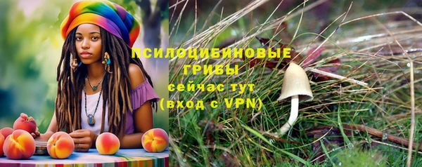 крисы Абдулино
