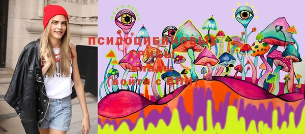 ПСИЛОЦИБИНОВЫЕ ГРИБЫ Абинск