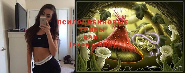 ПСИЛОЦИБИНОВЫЕ ГРИБЫ Абинск